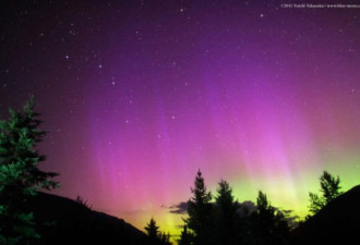 摄影师拍到加拿大罕见深紫色北极光