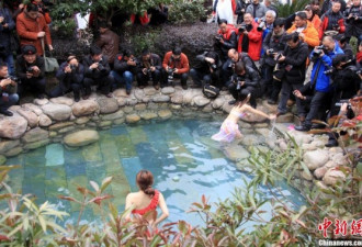 摄影师争拍新年性感模特秀 汤池戏水