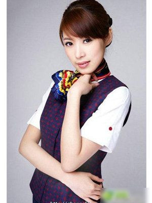 中国10大美女空姐气质不输女星(多图)