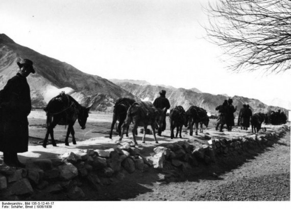 来自德国联邦档案馆的影像:1938年的西藏(高清组图)