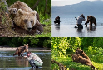 摄影师冒死拍摄 棕熊一家的精彩生活