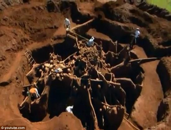 这些地道和洞穴由数百万只巴西切叶蚁建造，好似一个迷宫