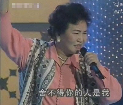 春节晚会历史上的十大悲情人物(多图)