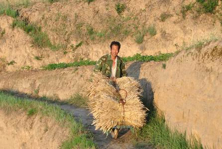 有图有震撼，中国的贫富差距到底有多大(多图)