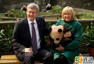 多伦多动物园明年初将迎来大熊猫二顺绩丽