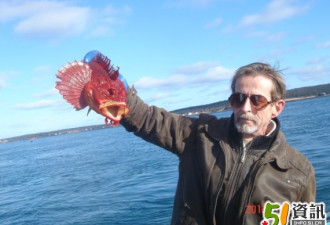 51周报：跟邻居出海捕龙虾的有趣经历