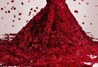 设计师逾千朵玫瑰做成长裙 华丽高贵