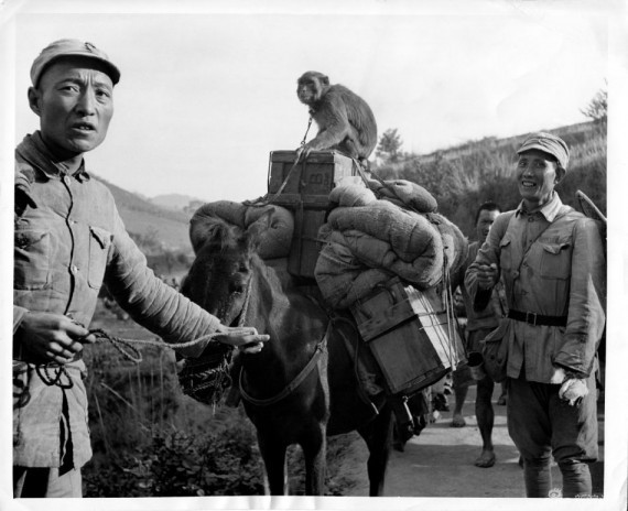 1943年美军实拍：与中国战士并肩作战打日本轰炸机(多图)