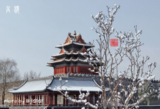 实拍北京三月飞雪美景 雪霁紫禁之巅