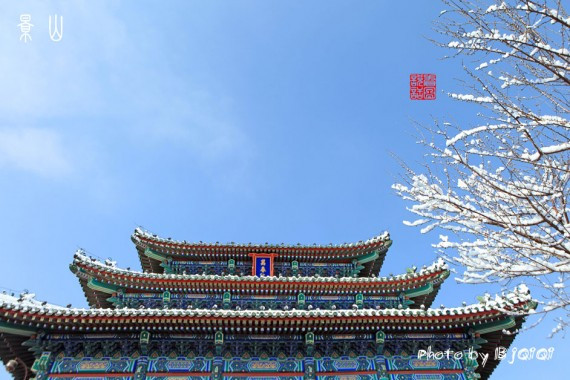 北京三月飞雪 实拍摄人心魄的美景 雪霁紫禁之巅(高清组图)