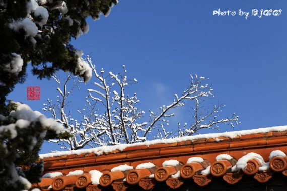 北京三月飞雪 实拍摄人心魄的美景 雪霁紫禁之巅(高清组图)