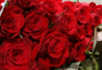 男子与妻子吵架后送100万支玫瑰道歉