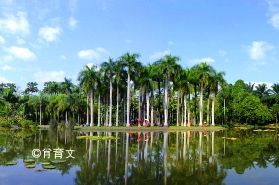 又到傣家泼水节 男女老少上演湿身激情 连警察也不放过(组图)