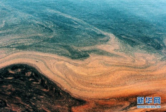 海上追踪:黄海山东日照海域爆发砖红色赤潮(高清组图)
