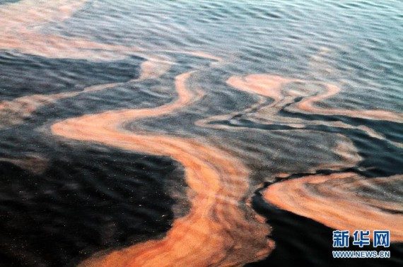 海上追踪:黄海山东日照海域爆发砖红色赤潮(高清组图)