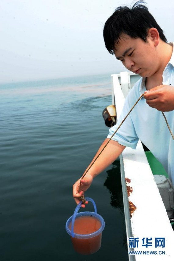 海上追踪:黄海山东日照海域爆发砖红色赤潮(高清组图)