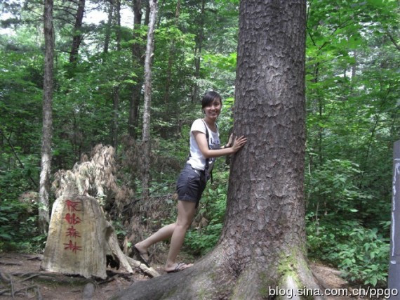 她的确很美：黑龙江舍己救人女教师张丽莉婚纱照曝光(组图)