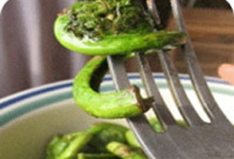 卫生局提醒：吃生蕨菜 已有五人中毒