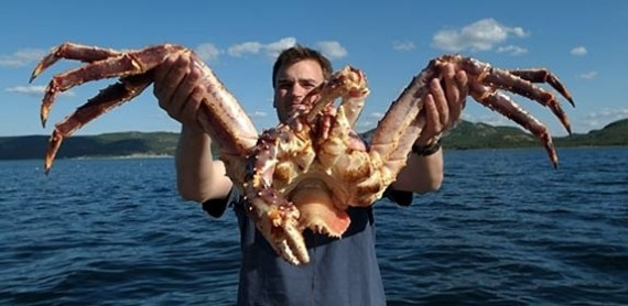 盘点世界上十大传奇水中捕捞:最大龙虾近25斤(高清组图)