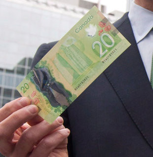 横看成岭侧成峰？加拿大新钞被指能见到诡异裸女像(图)