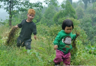 起早贪黑演出：小矮人月薪两千的生活