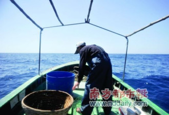 南海渔民：为生存被迫向邻国士兵送礼