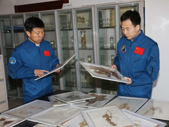 直击神九航天员训练:从模拟手动对接到野外生存(高清组图)