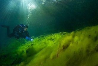 俄罗斯水下洞穴：湖中植物如妖艳火花