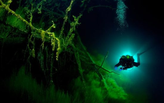 探秘俄罗斯水下洞穴：湖中植物如妖艳火花(组图)
