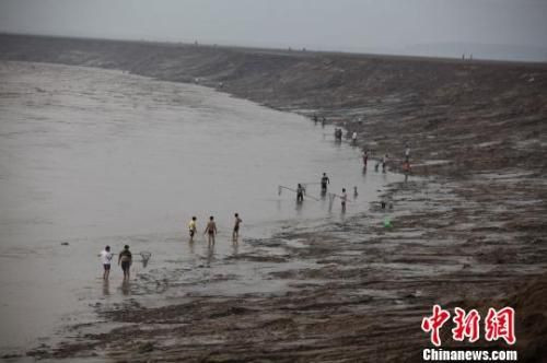 黄河上再现“流鱼”奇观