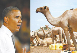 索马里武装悬赏10头骆驼捉拿奥巴马