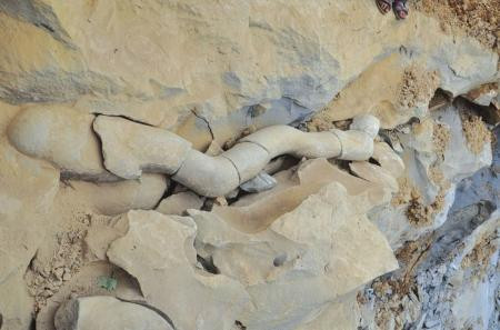 四川采石场的一块巨石内炸出两条“石龙” 有头有鳞甲(图)