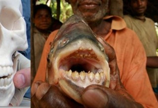 自然界最恐怖七张嘴 怪鱼有人类牙齿