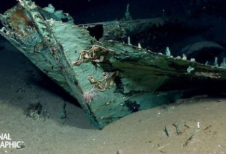 墨西哥湾幽灵船揭秘两百年前海盗生活