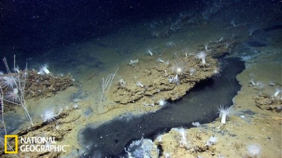 墨西哥湾海底现幽灵船揭秘200年前海盗生活(组图)