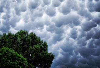 暴风雨前兆 实拍令人惊叹的乳房状云