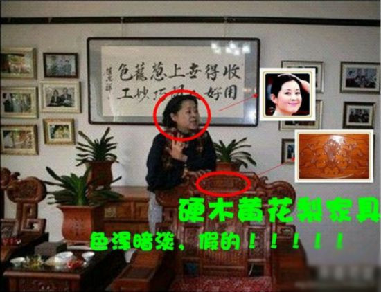 实拍国内电视节目主持人赵忠祥5亿豪宅内外景(组图)