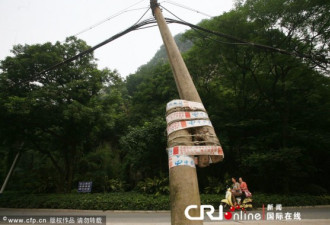 电线杆折断 中国电信竟用胶布固定住