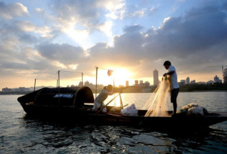 实拍：广西柳州聘捕鱼高手诱捕食人鱼