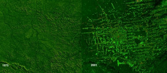 世界上历时最长地球资源卫星观测地球40年变迁(组图)