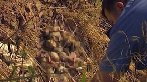 震惊！俄罗斯森林中发现248具疑似人类胎儿尸体(组图)
