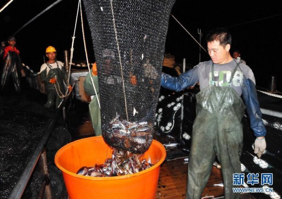 中国渔船南沙捕鱼夜：到手的实际收成少得可怜(组图)