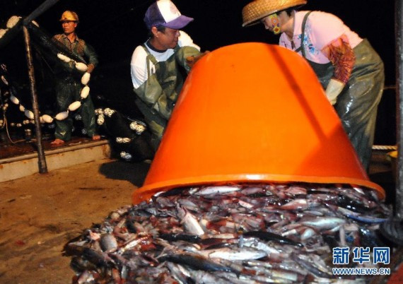 中国渔船南沙捕鱼夜：到手的实际收成少得可怜(组图)