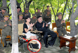 朝鲜第一夫人 万元名牌包傍身惹非议