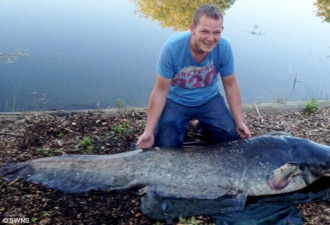 男子钓英国最大淡水鱼 长2米重65公斤