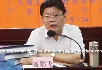 广东原副秘书长谢鹏飞严重违纪被双开