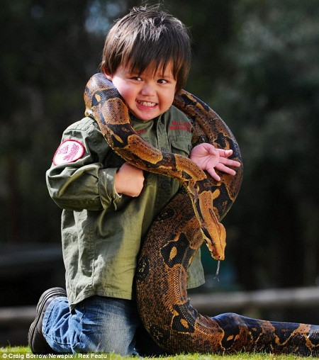 澳洲2岁男孩与蟒蛇蜥蜴成好友 任由巨蟒绕其脖玩耍(图)