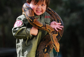 2岁男孩与蟒蛇蜥蜴成好友 任巨蟒绕脖