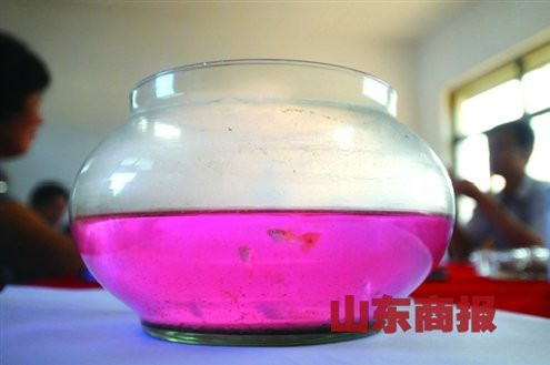 山东一村庄一夜变红 路面“血流成河”豆浆变色