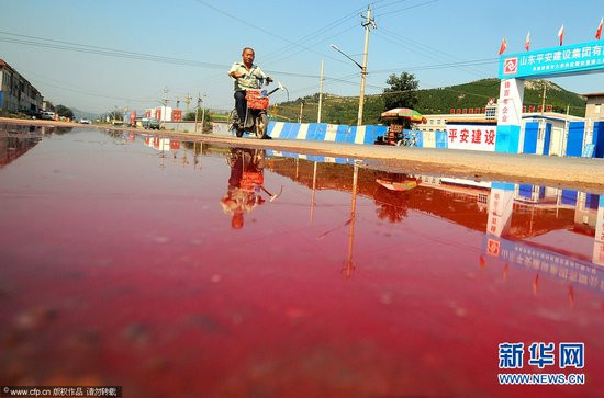 山东一村庄一夜变红 路面“血流成河”豆浆变色